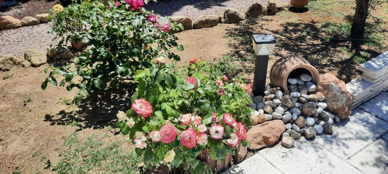 مبيت وإفطار انت مارتن دي كراو Fenetre Sur Les Alpilles المظهر الخارجي الصورة