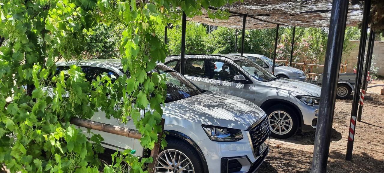 مبيت وإفطار انت مارتن دي كراو Fenetre Sur Les Alpilles المظهر الخارجي الصورة