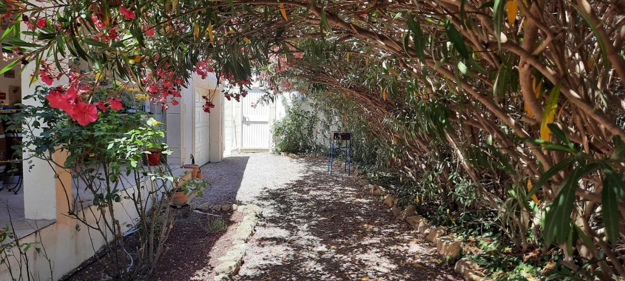 مبيت وإفطار انت مارتن دي كراو Fenetre Sur Les Alpilles المظهر الخارجي الصورة
