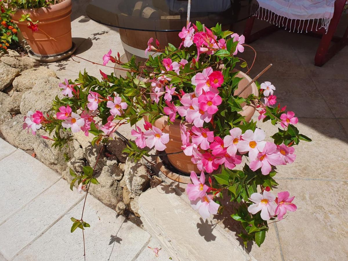 مبيت وإفطار انت مارتن دي كراو Fenetre Sur Les Alpilles المظهر الخارجي الصورة