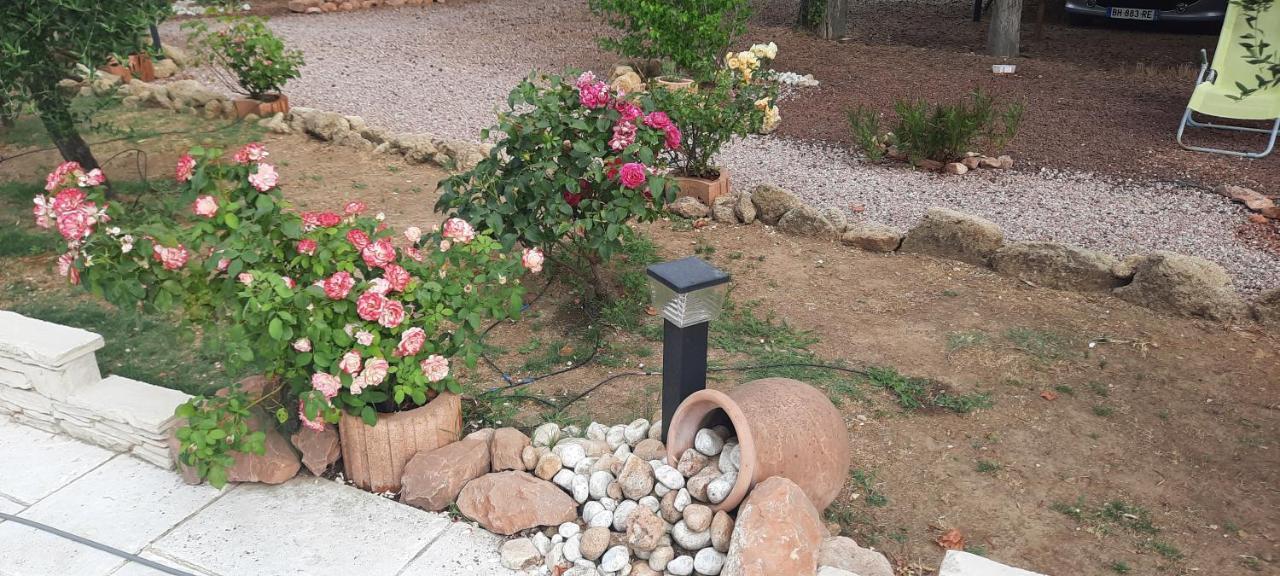 مبيت وإفطار انت مارتن دي كراو Fenetre Sur Les Alpilles المظهر الخارجي الصورة